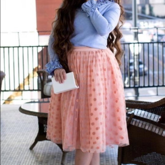 Dainty Jewells Dresses & Skirts - Dainty Jewell’s Rose Tutu Polka Dot Skirt Small